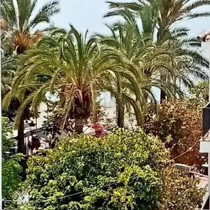 Old Town , Estepona Espagne